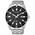 Citizen Stainless